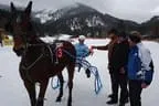 Siegerpferd Elektra mit Fahrer Josef Hauser und den Sponsoren TVB Kitzbüheler Alpen