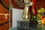 Trophäe KOASA GAMS